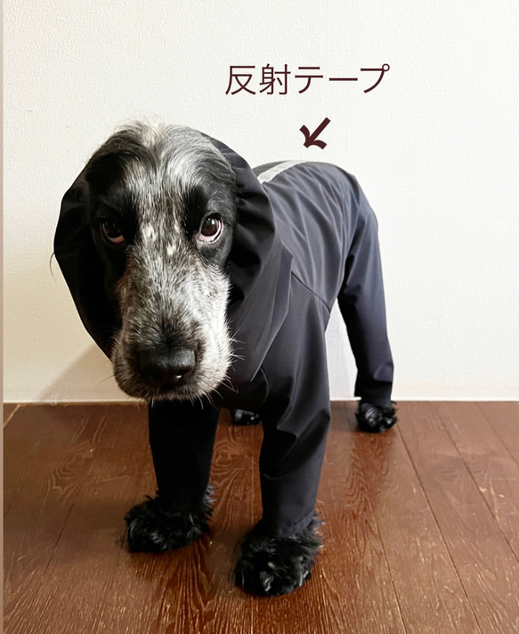 新色追加‼️雨の日の散歩に　中型犬用レインスーツ　4色 6枚目の画像