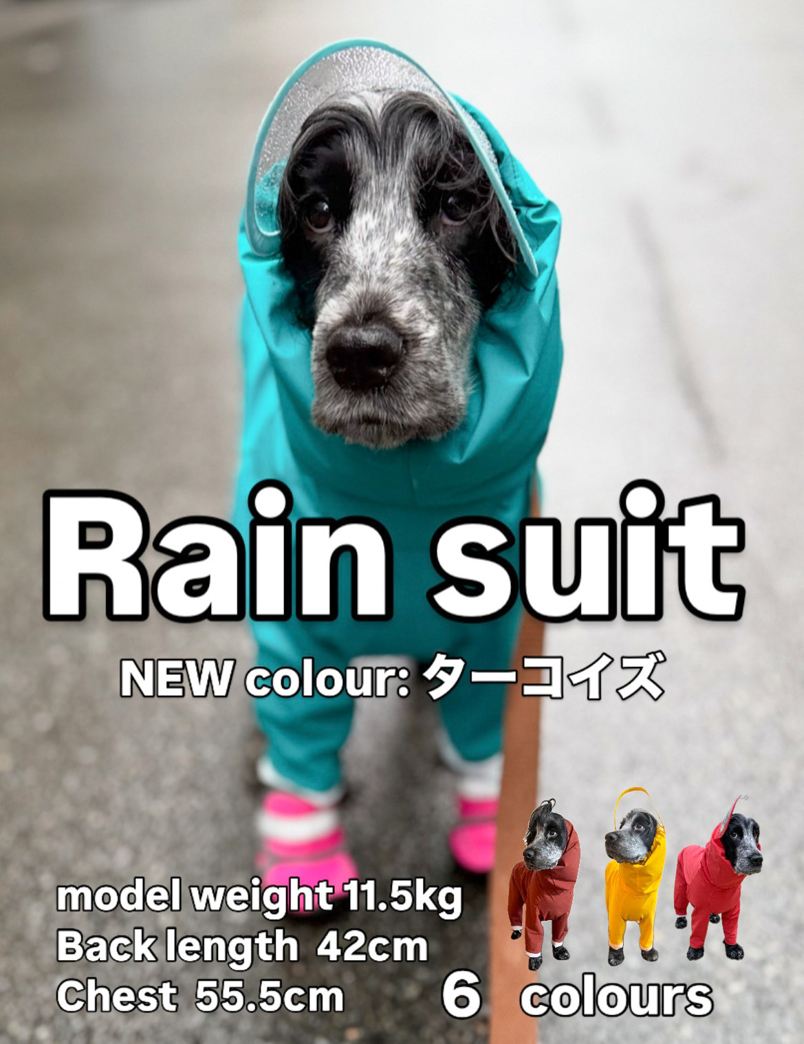 雨が苦手な犬と飼い主が作った犬用レインスーツ　5色　他犬種はご注文前にご相談ください