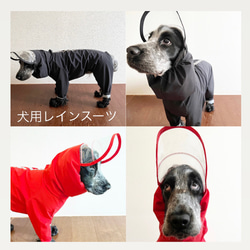 新色追加‼️雨の日の散歩に　中型犬用レインスーツ　4色 1枚目の画像