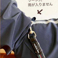 新色追加‼️雨の日の散歩に　中型犬用レインスーツ　4色 7枚目の画像