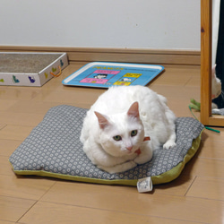 猫のためのマットのカバー布　ふわふわ用NO.2　Freefloat-Onward＆Upward　＜受注生産＞ 5枚目の画像