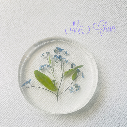 スワロフスキー 忘れな草 Florereコレクション | Swarovski