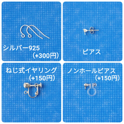 月の光の東雲草　ピアス&イヤリング 7枚目の画像