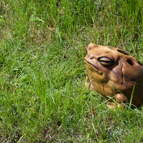 モクメフクラガエル チェーンソーアート彫刻作品 蛙 木彫り 彫刻