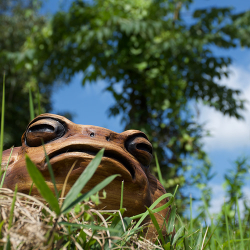 モクメフクラガエル チェーンソーアート彫刻作品 蛙 木彫り 彫刻