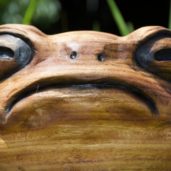 モクメフクラガエル　チェーンソーアート彫刻作品　蛙　木彫り 1枚目の画像