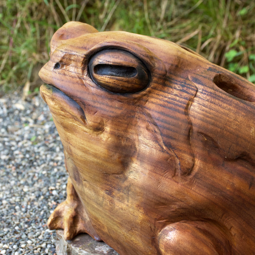 木製カエル彫刻 モクメフクラガエル チェーンソーアート彫刻作品 蛙 木彫り 彫刻