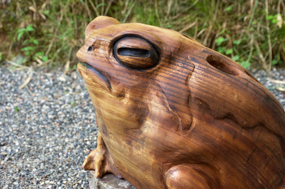 モクメフクラガエル　チェーンソーアート彫刻作品　蛙　木彫り 4枚目の画像