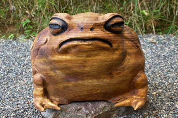 モクメフクラガエル　チェーンソーアート彫刻作品　蛙　木彫り 2枚目の画像