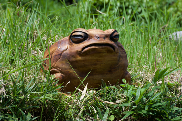 モクメフクラガエル　チェーンソーアート彫刻作品　蛙　木彫り 15枚目の画像