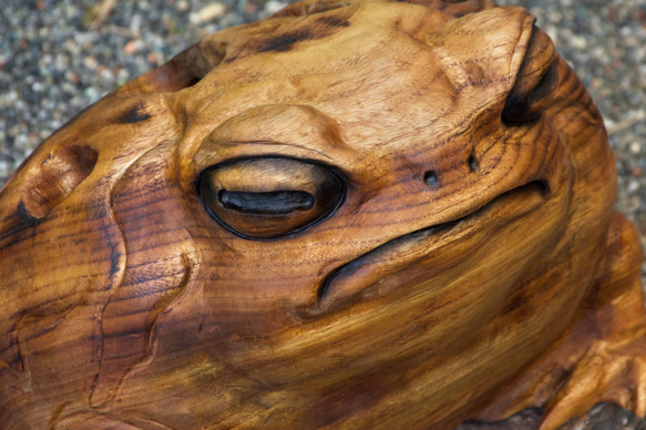 モクメフクラガエル　チェーンソーアート彫刻作品　蛙　木彫り 6枚目の画像