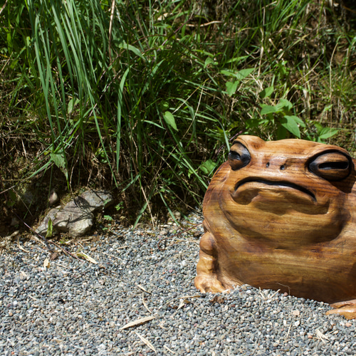 モクメフクラガエル チェーンソーアート彫刻作品 蛙 木彫り 彫刻