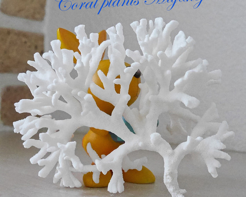 沖縄県 宮古島産 天然 枝サンゴ ほぼ純白 Mサイズ 割れ物注意！素材