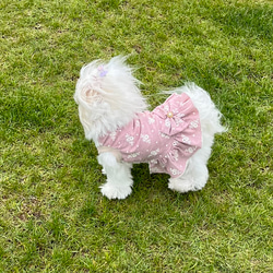 犬服　花柄刺繍のコットンワンピース（ナチュラルピンク系） 4枚目の画像