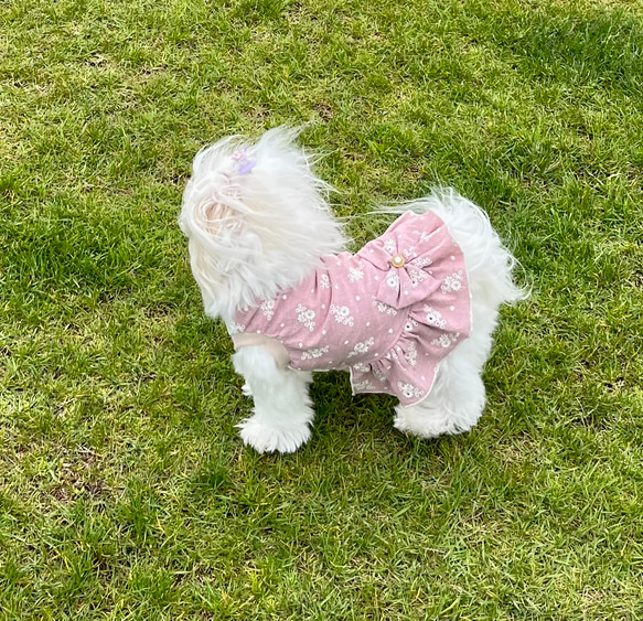 犬服　花柄刺繍のコットンワンピース（ナチュラルピンク系） 4枚目の画像