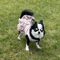 犬服　花柄刺繍のコットンワンピース（ナチュラルピンク系） 3枚目の画像