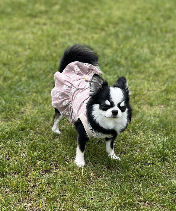 犬服　花柄刺繍のコットンワンピース（ナチュラルピンク系） 3枚目の画像