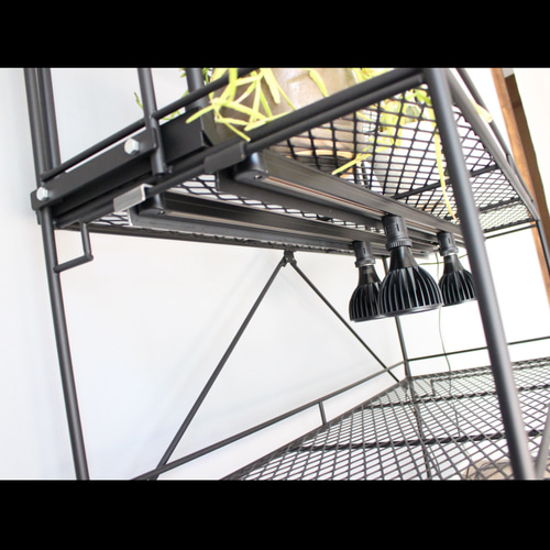 植物棚 下段扉 格子観音開き ライティングレール ボタニカルシェルフ