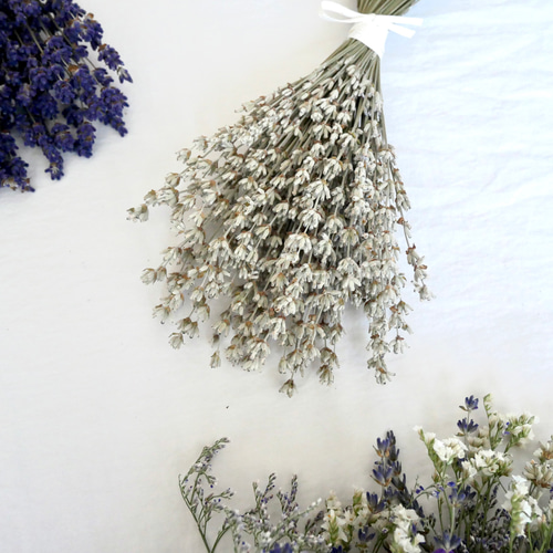 北海道富良野産 ホワイトラベンダースワッグ。ドライフラワースワッグ