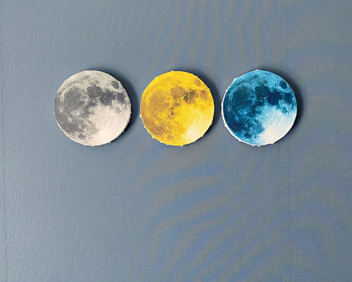 満月 -THE MOON- アートを飾る キャンバスボード 写真・グラフィック