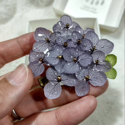 【受注生産】本物の紫陽花アナベルブローチクリップ　ヘアクリップ　帯留め　コサージュ　うすむらさき 3枚目の画像