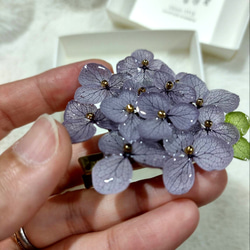 本物の紫陽花アナベルブローチクリップ　うす紫　ヘアクリップ　帯留め　コサージュ　 4枚目の画像