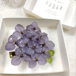 本物の紫陽花アナベルブローチクリップ　うす紫　ヘアクリップ　帯留め　コサージュ　 2枚目の画像