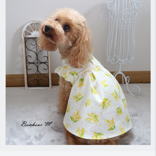 美品☆アトリエggメアリーワンピース 犬