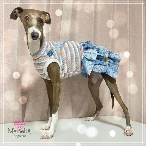 イタグレ用犬服】ふんわりカラーのボーダーがかわいい⭐︎パステル