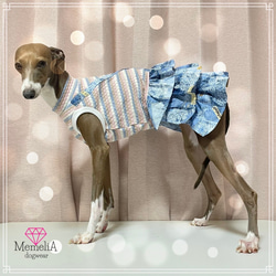 イタグレ用犬服】ふんわりカラーのボーダーがかわいい⭐︎パステル