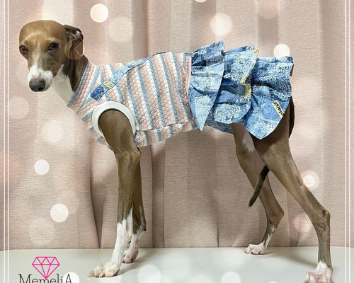 fe2d9cdad28bdc8bad1664ac9fa9e5