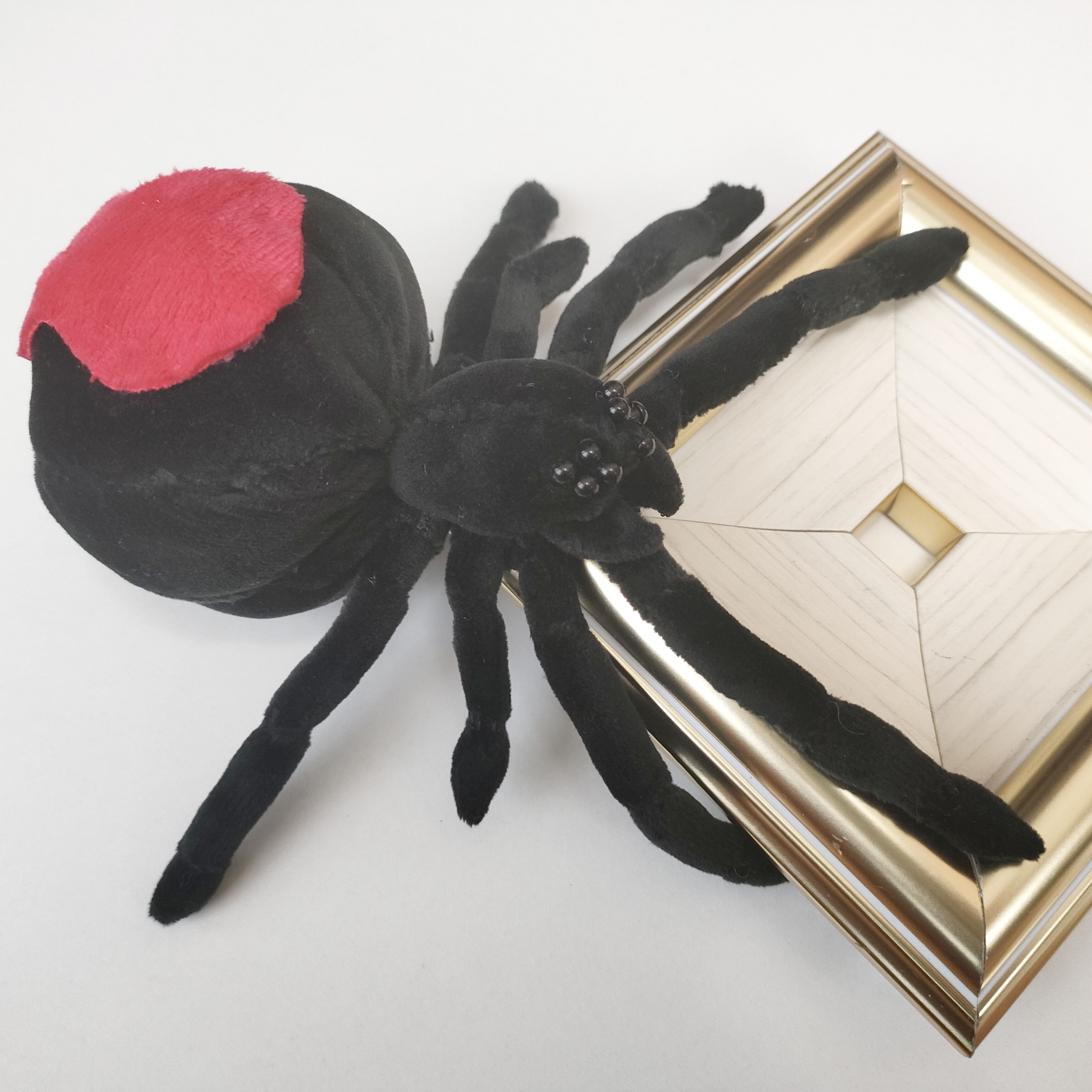 セアカゴケグモのぬいぐるみ 4,510円