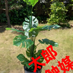 光触媒　人工観葉植物　ウォールグリーン　フェイクグリーン　HQウンベラータ180 光触媒 人工観葉植物 ウォールグリーン フェイクグリーン