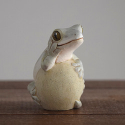 石の上にもニホンヤモリ 8枚目の画像