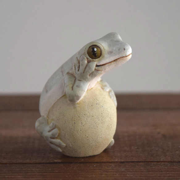 石の上にもニホンヤモリ 3枚目の画像