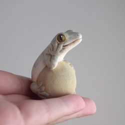 石の上にもニホンヤモリ 7枚目の画像