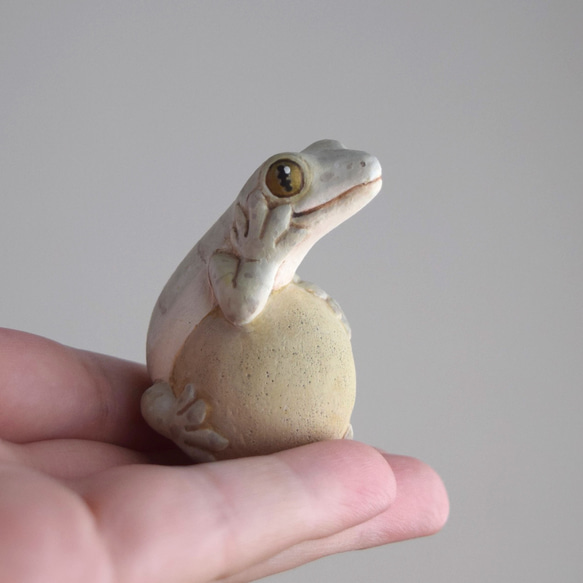 石の上にもニホンヤモリ 7枚目の画像