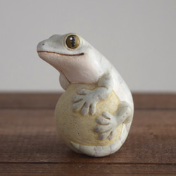 石の上にもニホンヤモリ 1枚目の画像