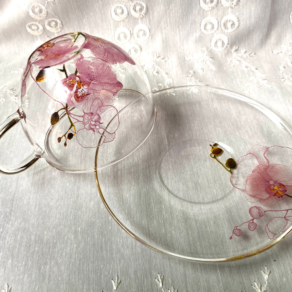 耐熱ガラスのカップ&ソーサー・胡蝶蘭 2枚目の画像