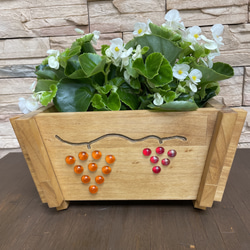 ホルツトレー ウッド コンテナボックス プランター ラック 多肉トレー