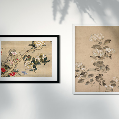 NO.450】インコと紫陽花の日本画絵画アートポスター☆風景牡丹
