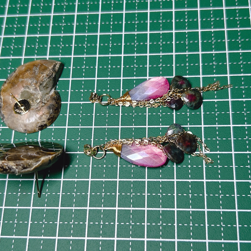 化石　C-14 化石 C-14