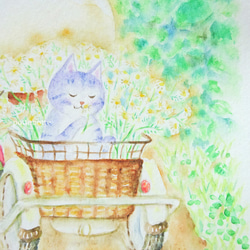 ✻【原画】カモミールの収穫 / ポテとゆきだるまん no.177  水彩画　2021.07.20～ 5枚目の画像
