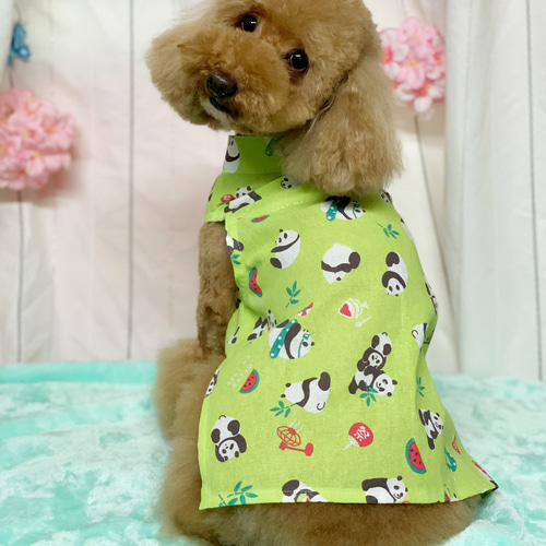 犬服　保っちゃん　ハンドメイド　ご確認 犬服】パンダちゃん生地見本
