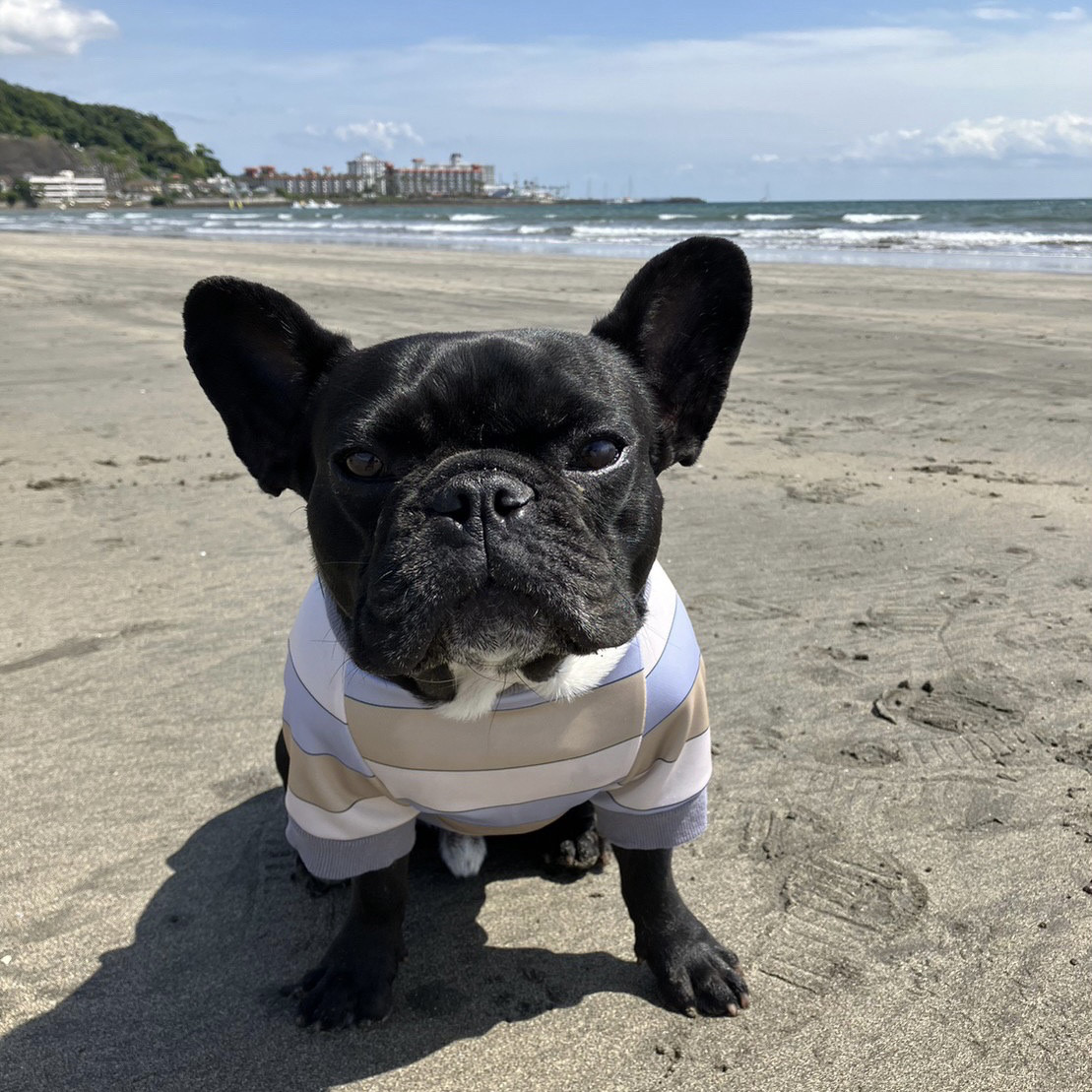 【CHICAGO/サイズM】アーリーサマーラグランTシャツ