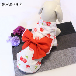 犬服ハンドメイド♡さくらんぼ♡マーブル♡オーダー 犬服ハンドメイド♡さくらんぼ♡マーブル様専用♡オーダー