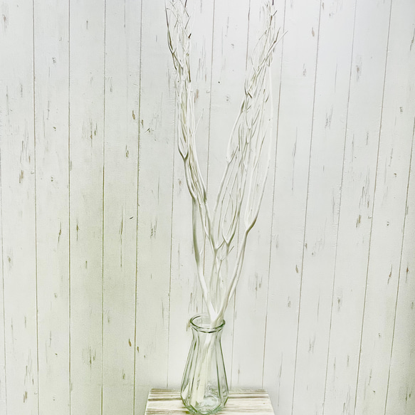 ドライフラワー 三又 ミツマタ （漂白タイプ） 3本 店舗装飾