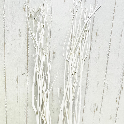 ドライフラワー 三又 ミツマタ （漂白タイプ） 3本 店舗装飾