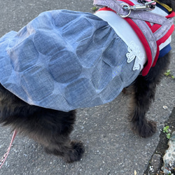 春夏犬服　シャンブレーワッフルバルーンワンピ 7枚目の画像