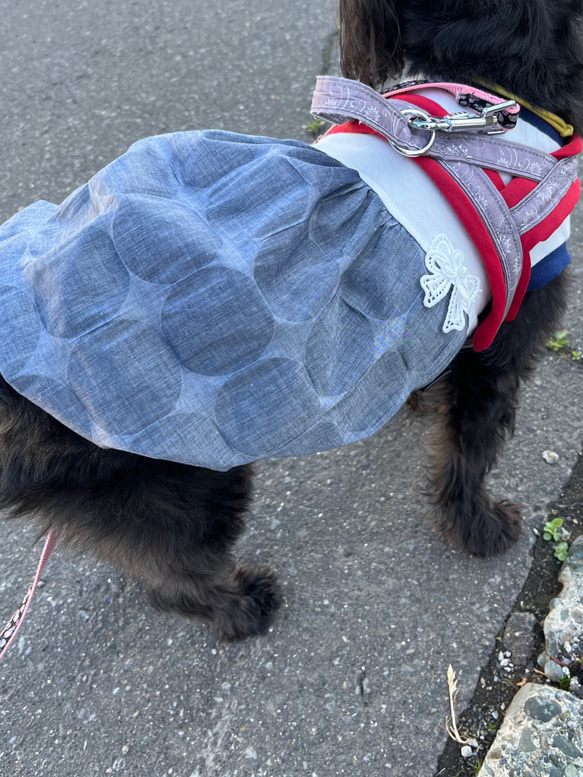 春夏犬服　シャンブレーワッフルバルーンワンピ 7枚目の画像